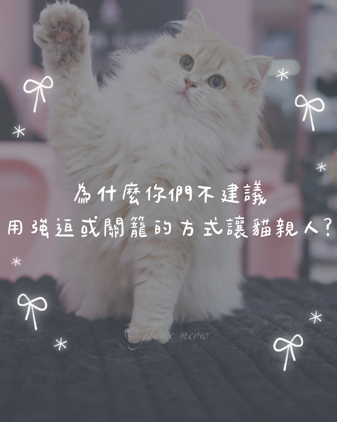 為什麼你們不建議用強迫或關籠的方式讓貓親人？