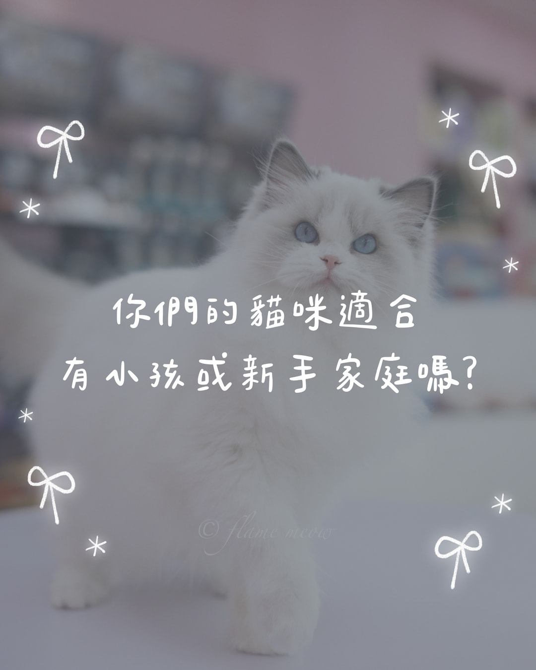 你們的貓咪適合有小孩或新手家庭嗎？